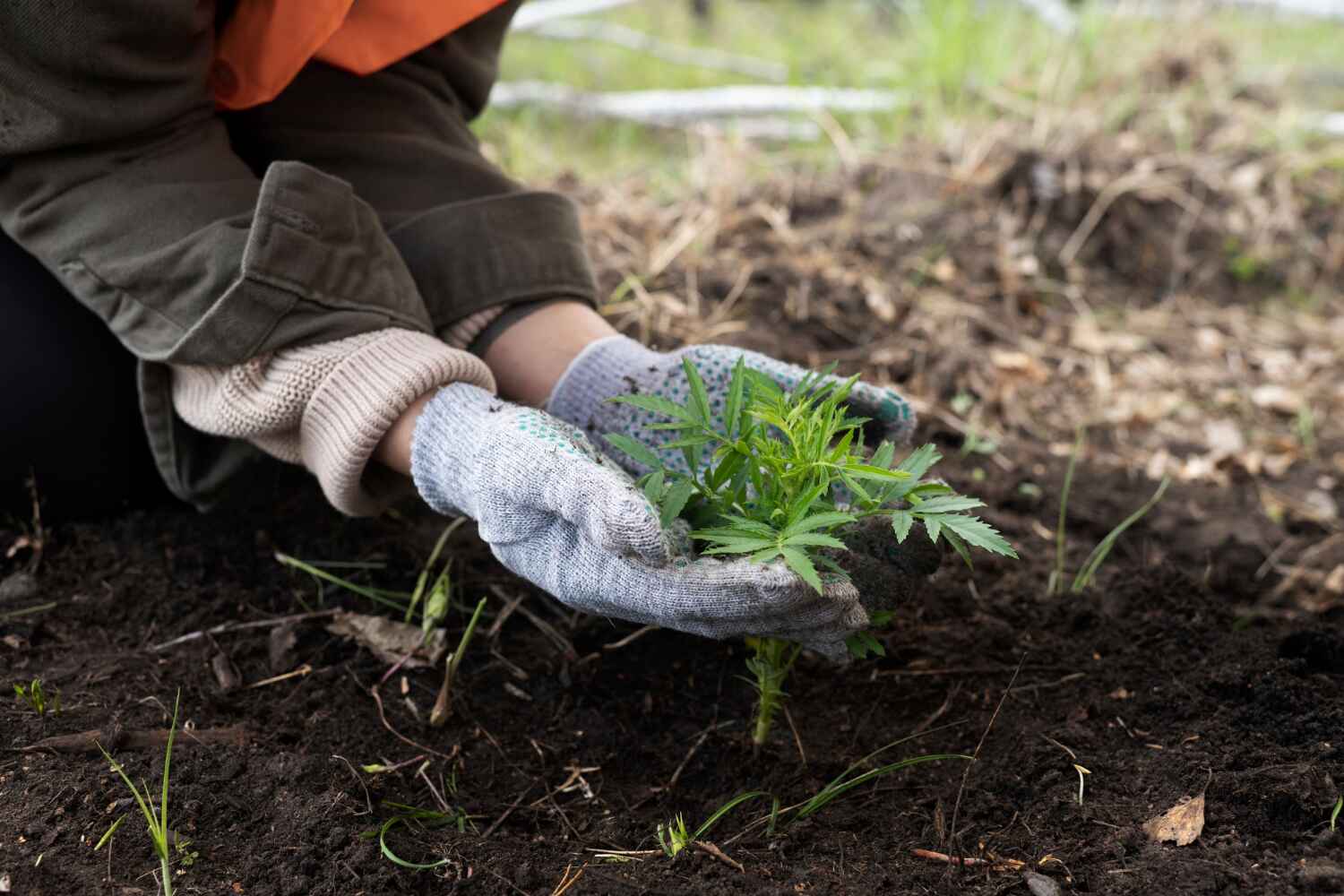 Best Tree Removal Near Me  in Farngton, MI